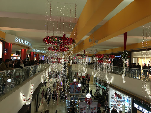 Meteorology shops in Monterrey