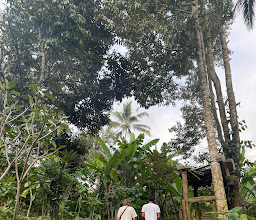 Hidden Garden Agriculture photo