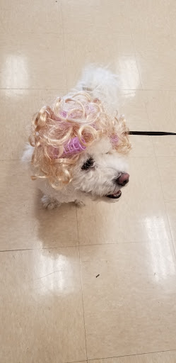 Pet Supply Store «Petco Animal Supplies», reviews and photos, 1483 NJ-23 #14b, Kinnelon, NJ 07405, USA