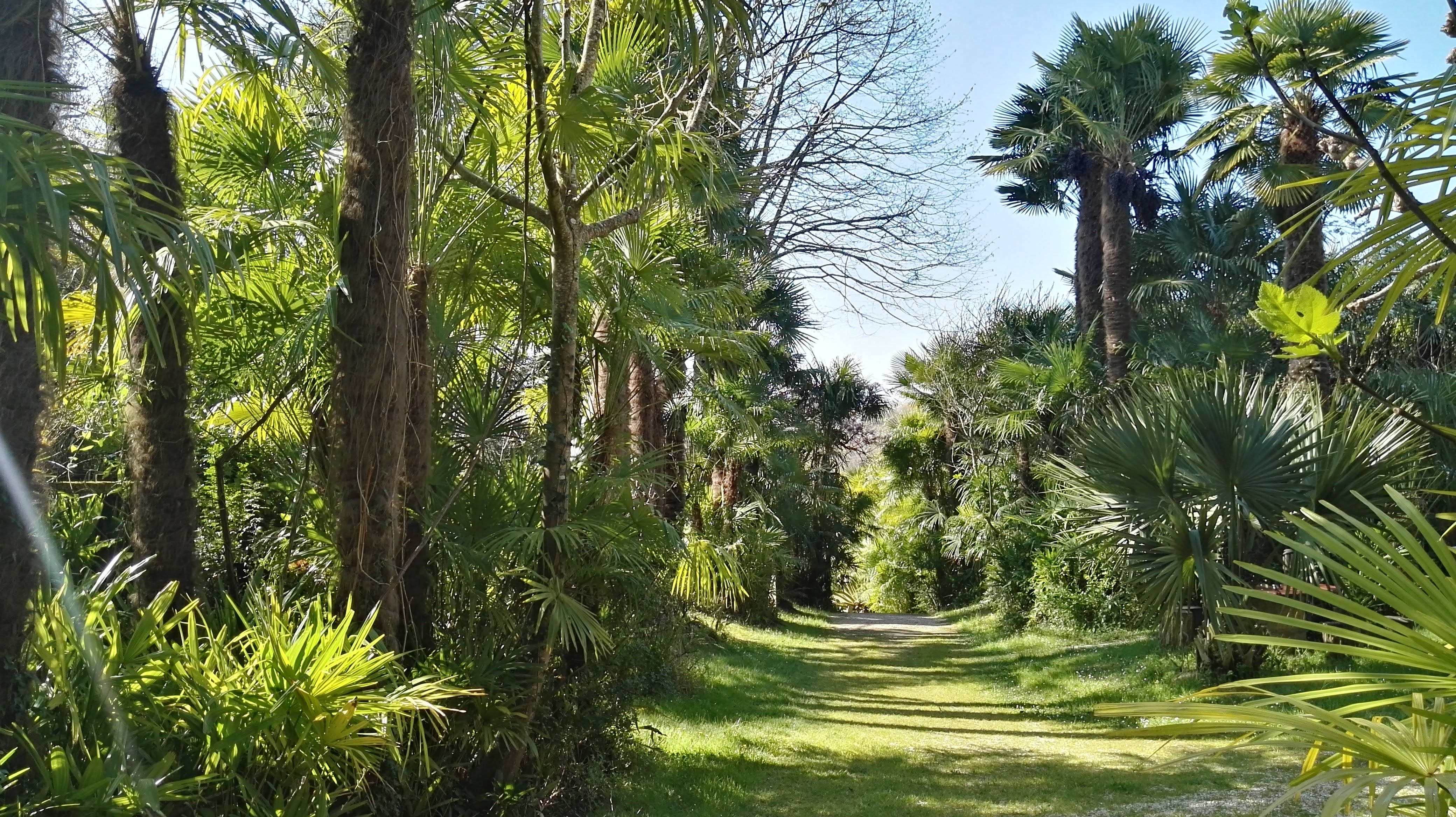 Photo n° 2 de l'avis de Chris.� fait le 29/03/2019 à 14:44