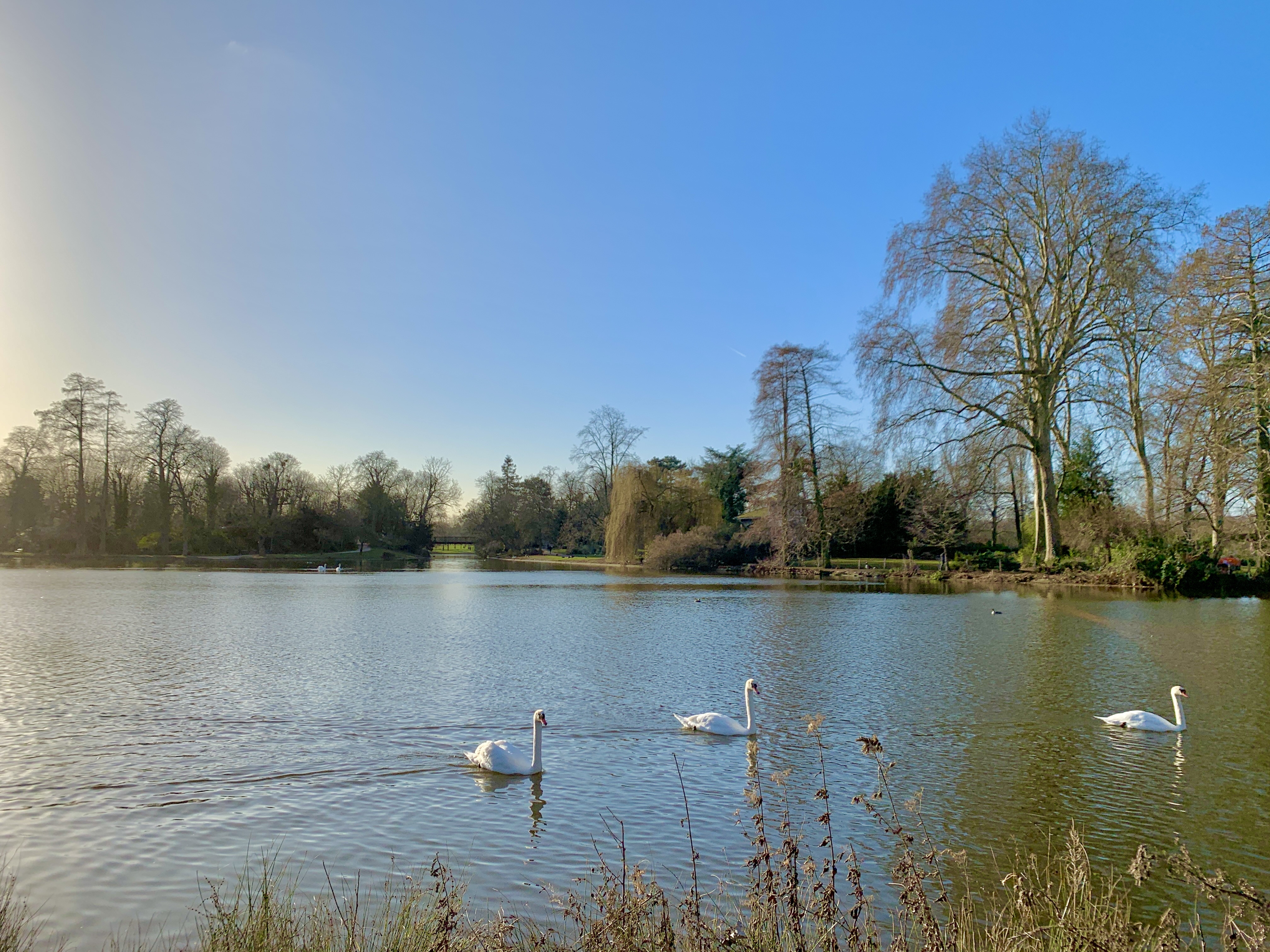 Photo n° 5 de l'avis de Agnès. fait le 10/02/2022 à 08:51