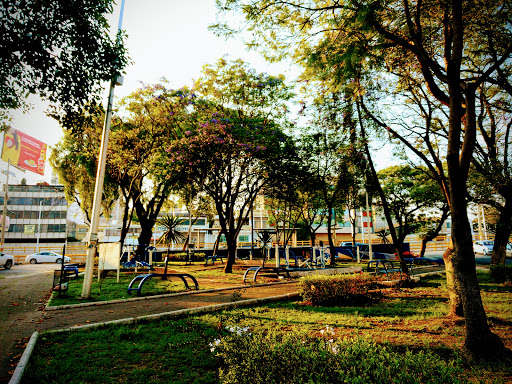 Jardín José María Morelos Siervo de la Nación
