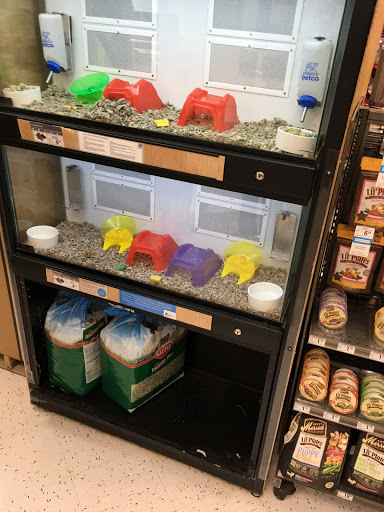 Pet Supply Store «Petco Animal Supplies», reviews and photos, 2775 El Camino Real, Santa Clara, CA 95051, USA