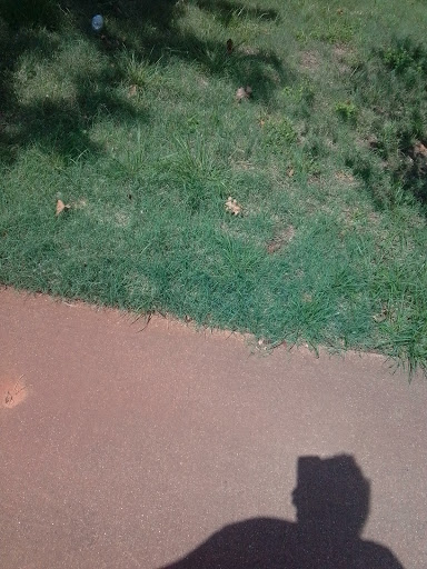 Park «Lake Cliff Park», reviews and photos, 300 E Colorado Blvd, Dallas, TX 75201, USA