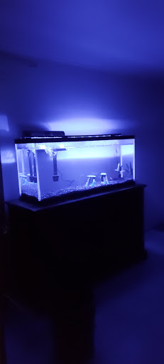 Pet Store «Animal Island Pet Shop», reviews and photos, 14411 S Cicero Ave, Midlothian, IL 60445, USA