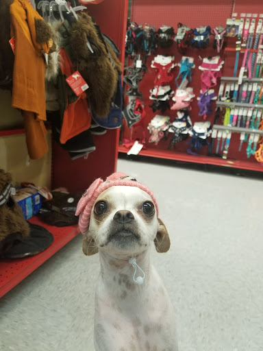 Pet Supply Store «Petco Animal Supplies», reviews and photos, 5843 N Elizabeth St, Pueblo, CO 81008, USA