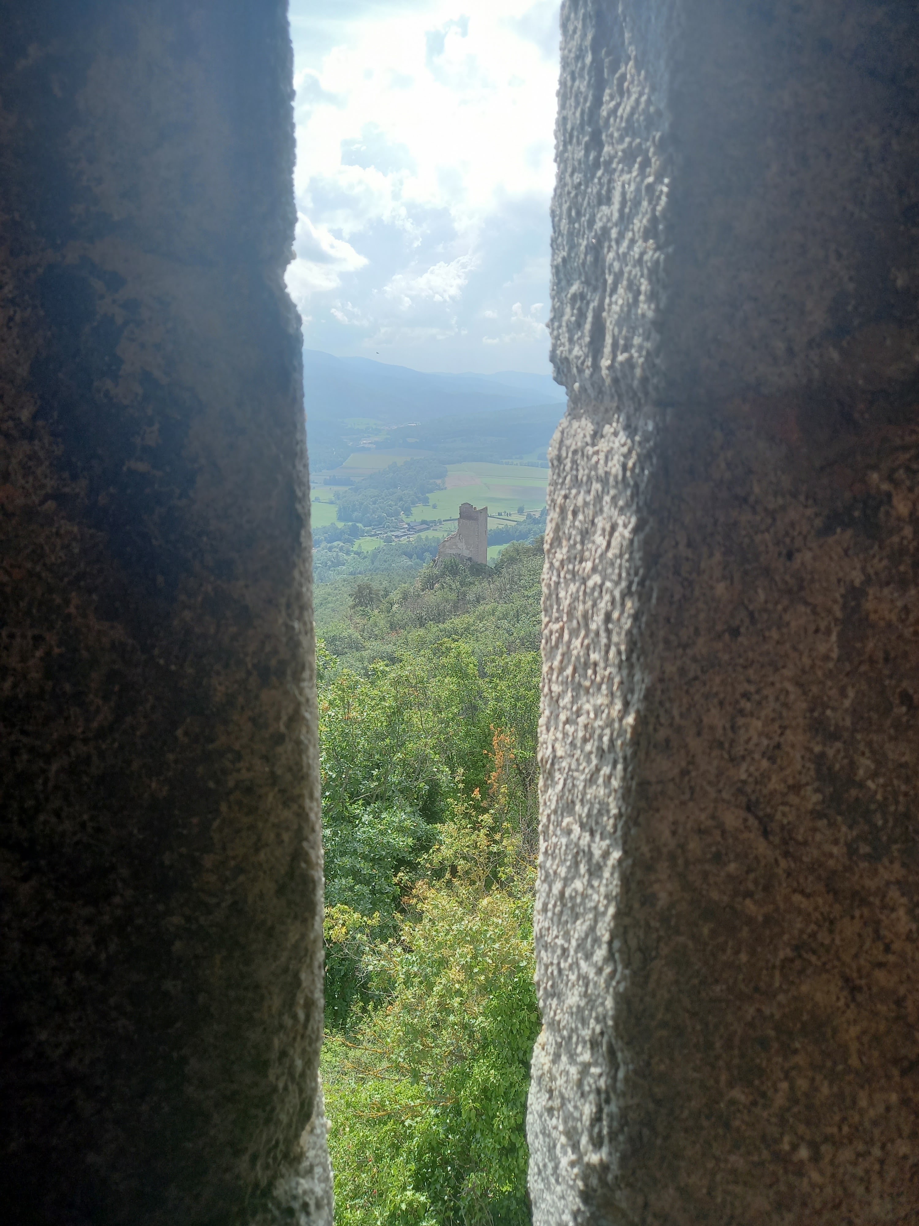 Photo n° 5 de l'avis de alsac.e fait le 18/08/2023 à 18:38