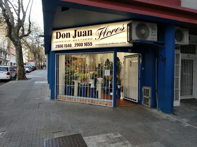 Don Juan Flores