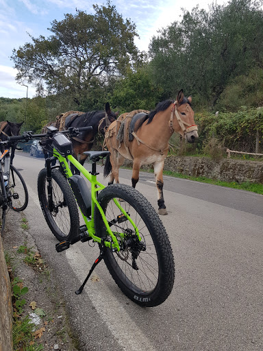 Enjoy Bike Sorrento - Bike Tours & Bike Rental in Sorrento and Amalfi Coast