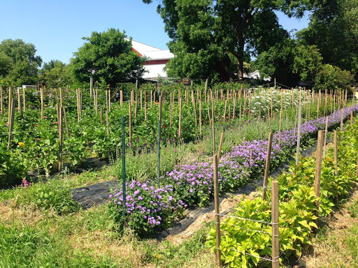 Produce Market «Highland Orchards Farm Market», reviews and photos, 1431 Foulk Rd, Wilmington, DE 19803, USA