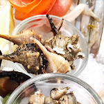 Photo n°7 de l'avis de Simone.r fait le 22/02/2022 à 06:05 sur le  Ristorante BBeQ à Capo Portiere