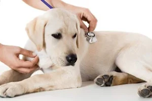 Dierenkliniek Pets Health Muiderberg image
