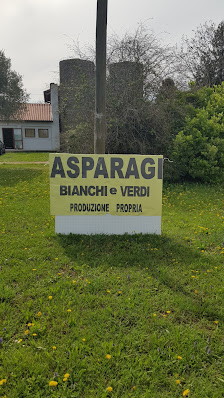 Rivendita asparagi di Sain Claudio Via Palazzatto, 48, 33059 Fiumicello Villa Vicentina UD, Italia