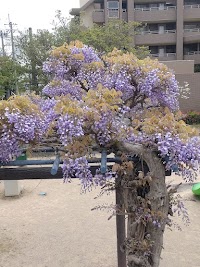 寺畑１丁目公園