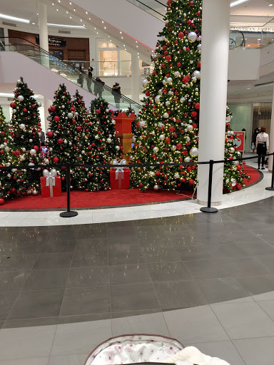 Department Store «Nordstrom», reviews and photos, 1400 S Hayes St, Arlington, VA 22202, USA