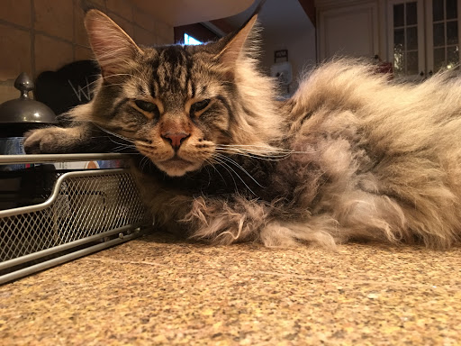 6537 Main St, Trumbull, CT 06611, USA