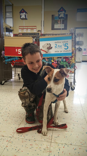 Pet Supply Store «Petco Animal Supplies», reviews and photos, 475 S Wadsworth Blvd, Lakewood, CO 80226, USA