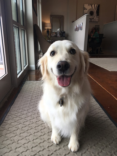 Insurance Agency «Ashley Berry - State Farm Insurance Agent», reviews and photos