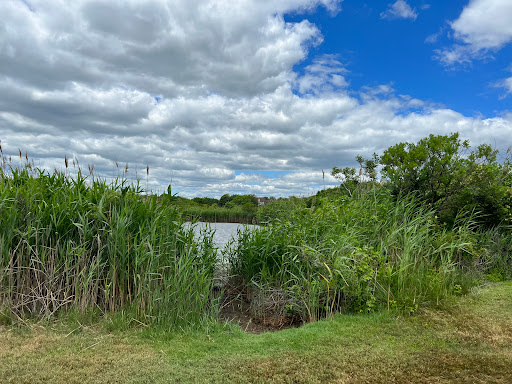 Golf Course «Ocean City Golf Course», reviews and photos, 2600 Bay Ave, Ocean City, NJ 08226, USA