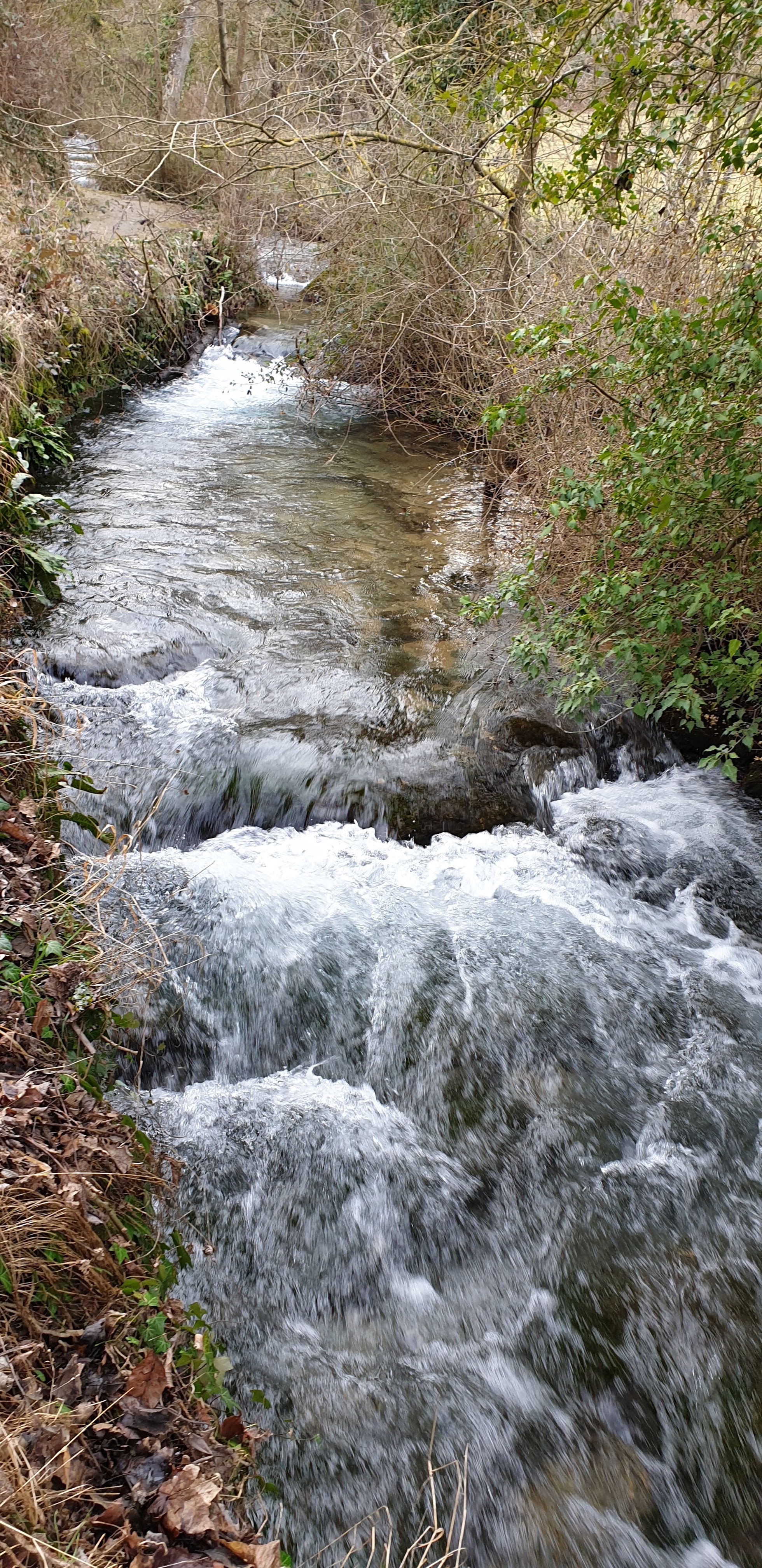 Photo n° 3 de l'avis de Stephan.a fait le 25/02/2019 à 12:48