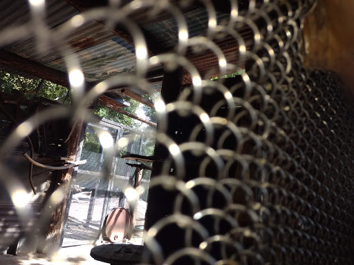 Park «Papago Park», reviews and photos, 625 N Galvin Pkwy, Phoenix, AZ 85008, USA