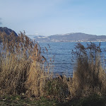 Photo n° 9 de l'avis de Chris.s fait le 24/01/2021 à 16:13 pour Capitainerie du port de Charpignat et Buvette à Le Bourget-du-Lac