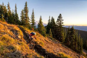 Brave Endeavors: MTB Skills and Strength Training Programs image