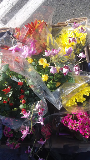 Produce Market «Produce Junction Inc», reviews and photos, 265 S Easton Rd, Glenside, PA 19038, USA