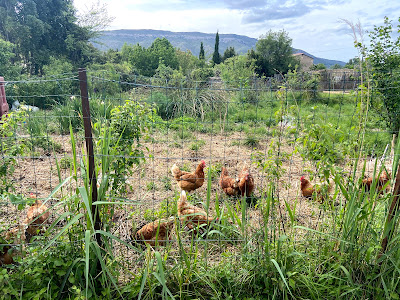 Jardin Associatif Merci la vie à Paziols
