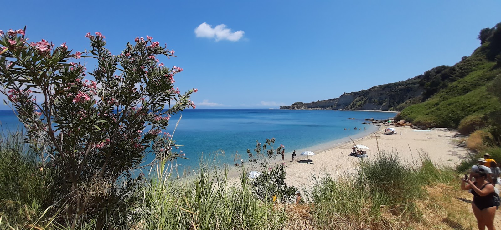 Foto af Agia Triada beach vildt område