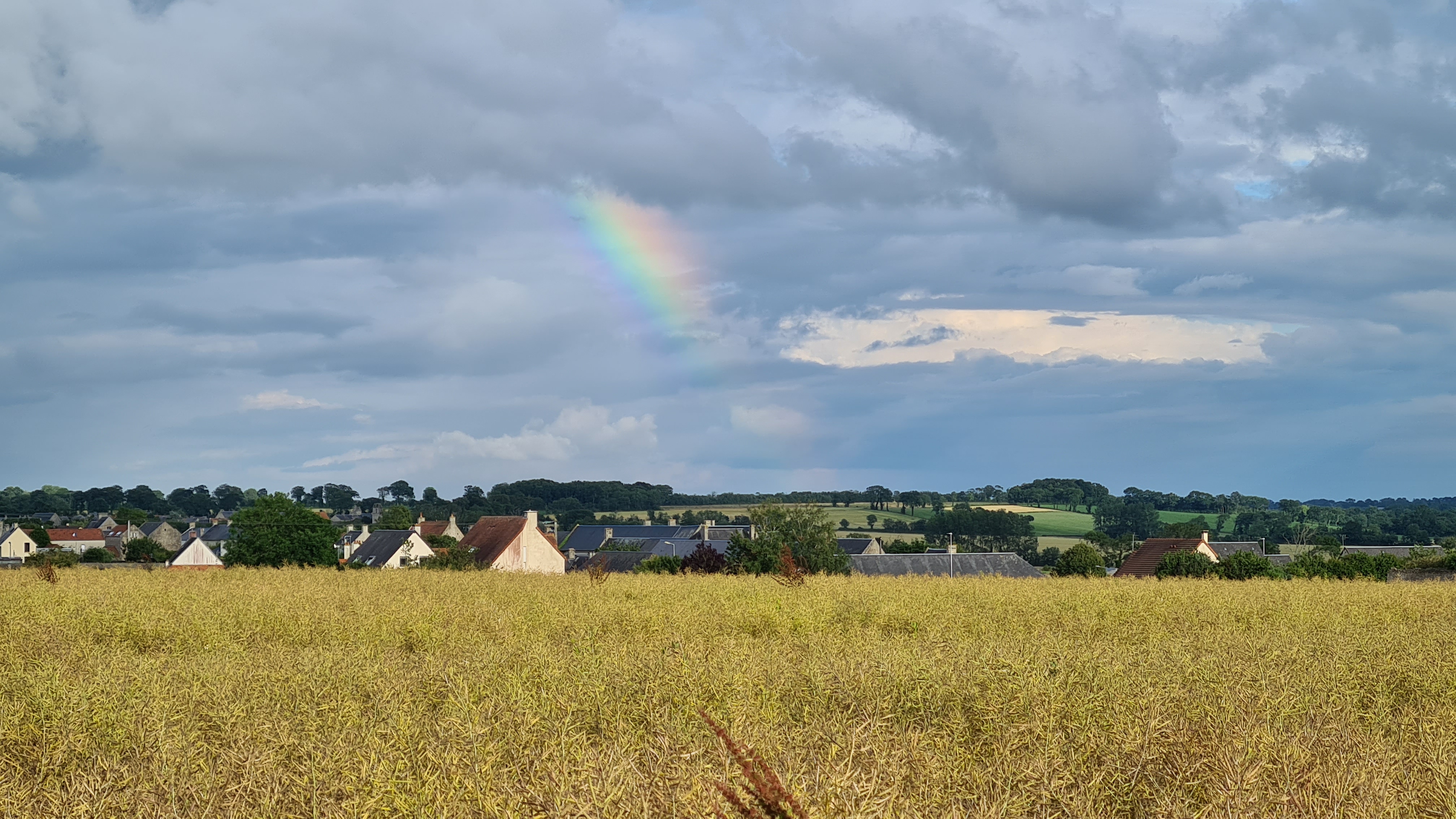 Photo n° 3 de l'avis de Zsolt.� fait le 31/07/2018 à 21:00