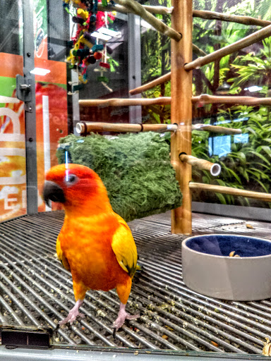 Pet Groomer «We Lov Pets», reviews and photos, 3853 Northpointe Dr, Zanesville, OH 43701, USA