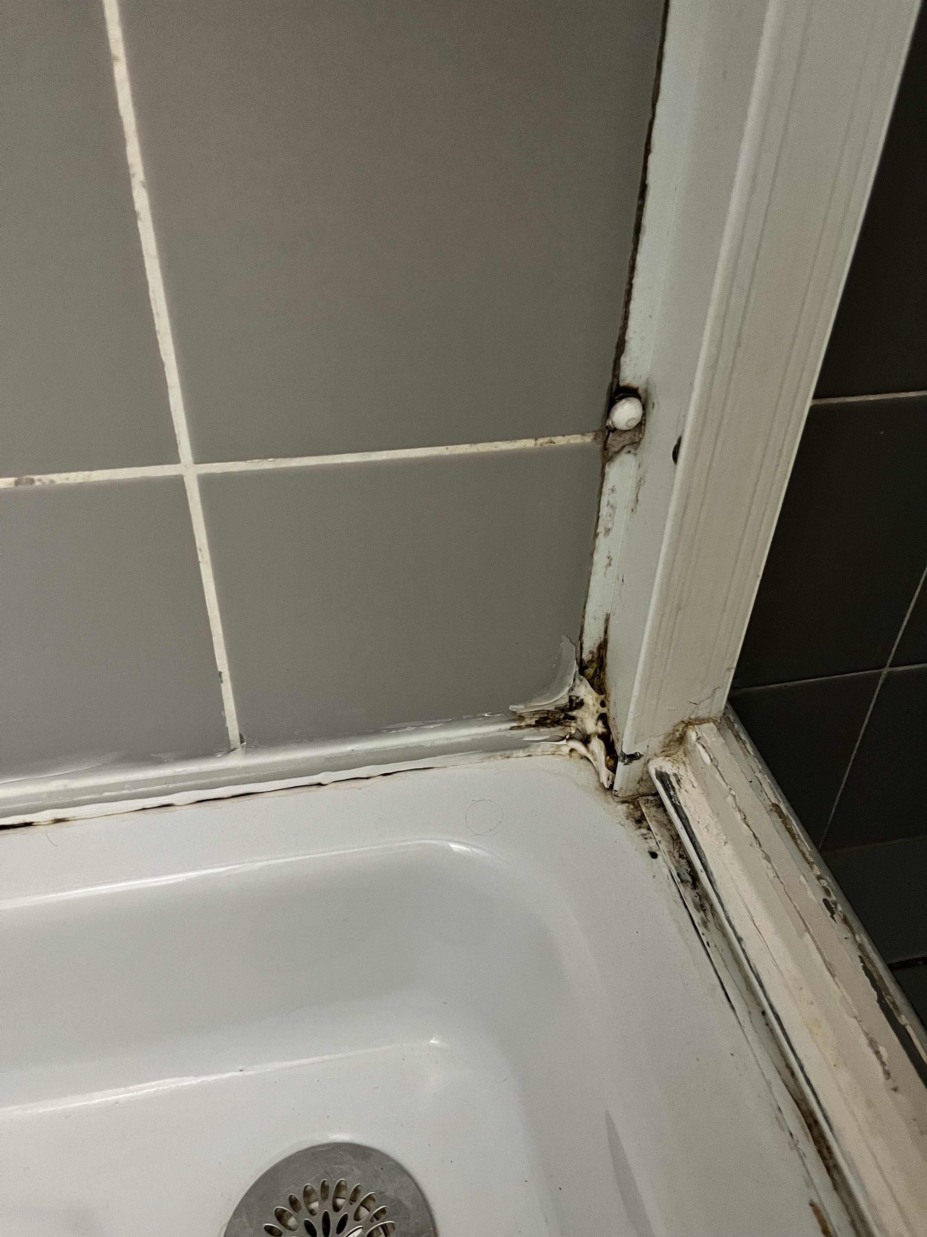 Photo n° 3 de l'avis de Be.a fait le 28/09/2023 à 17:08