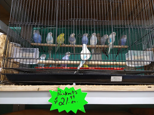 Pet Store «Jules Pet Shop», reviews and photos, 2214 N Milwaukee Ave, Chicago, IL 60647, USA