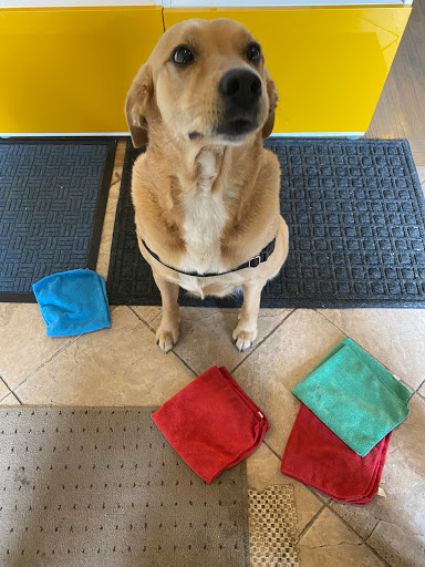 House Cleaning Service «Fresh Tech Maid», reviews and photos, 532 Wesley Ave, Evanston, IL 60202, USA