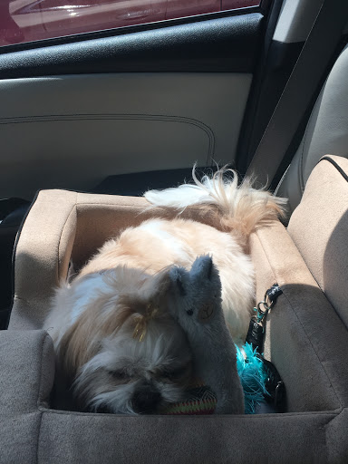 Pet Supply Store «Petco Animal Supplies», reviews and photos, 7303 Pinnacle Pkwy, Covington, LA 70433, USA