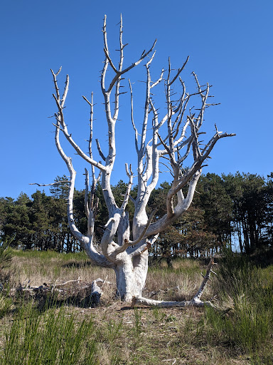 Country Club «Astoria Golf & Country Club», reviews and photos, 33445 Sunset Beach Rd, Warrenton, OR 97146, USA