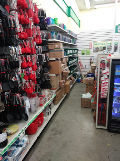 Dollar Store «Dollar Tree», reviews and photos, 3810 S Suncoast Blvd, Homosassa, FL 34448, USA