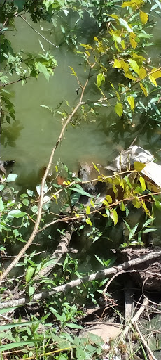 Park «Tukwila Pond Park», reviews and photos, 299 Strander Blvd, Tukwila, WA 98188, USA