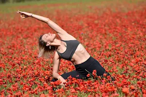 Natha Yogi | Yoga Montpellier By Delphine image