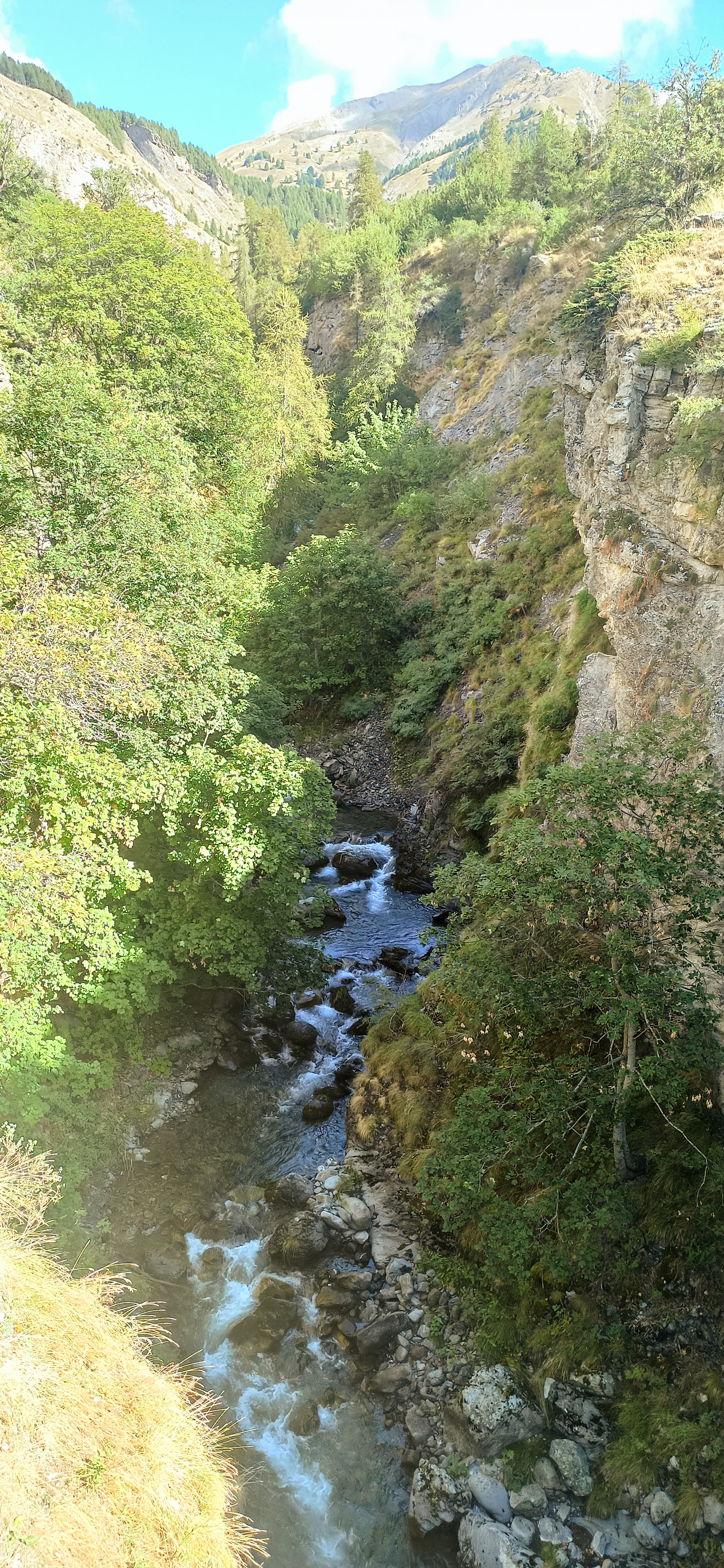 Photo n° 5 de l'avis de Pourcelot.o fait le 15/09/2023 à 11:34