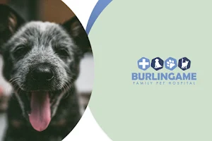 Burlingame Family Pet Hospital image