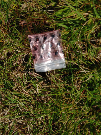 Park «Conocido Park», reviews and photos, 15645 N 31st Dr, Phoenix, AZ 85053, USA