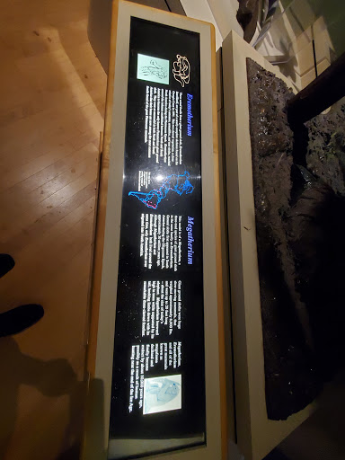 Natural History Museum «Fernbank Museum of Natural History», reviews and photos, 767 Clifton Rd, Atlanta, GA 30307, USA