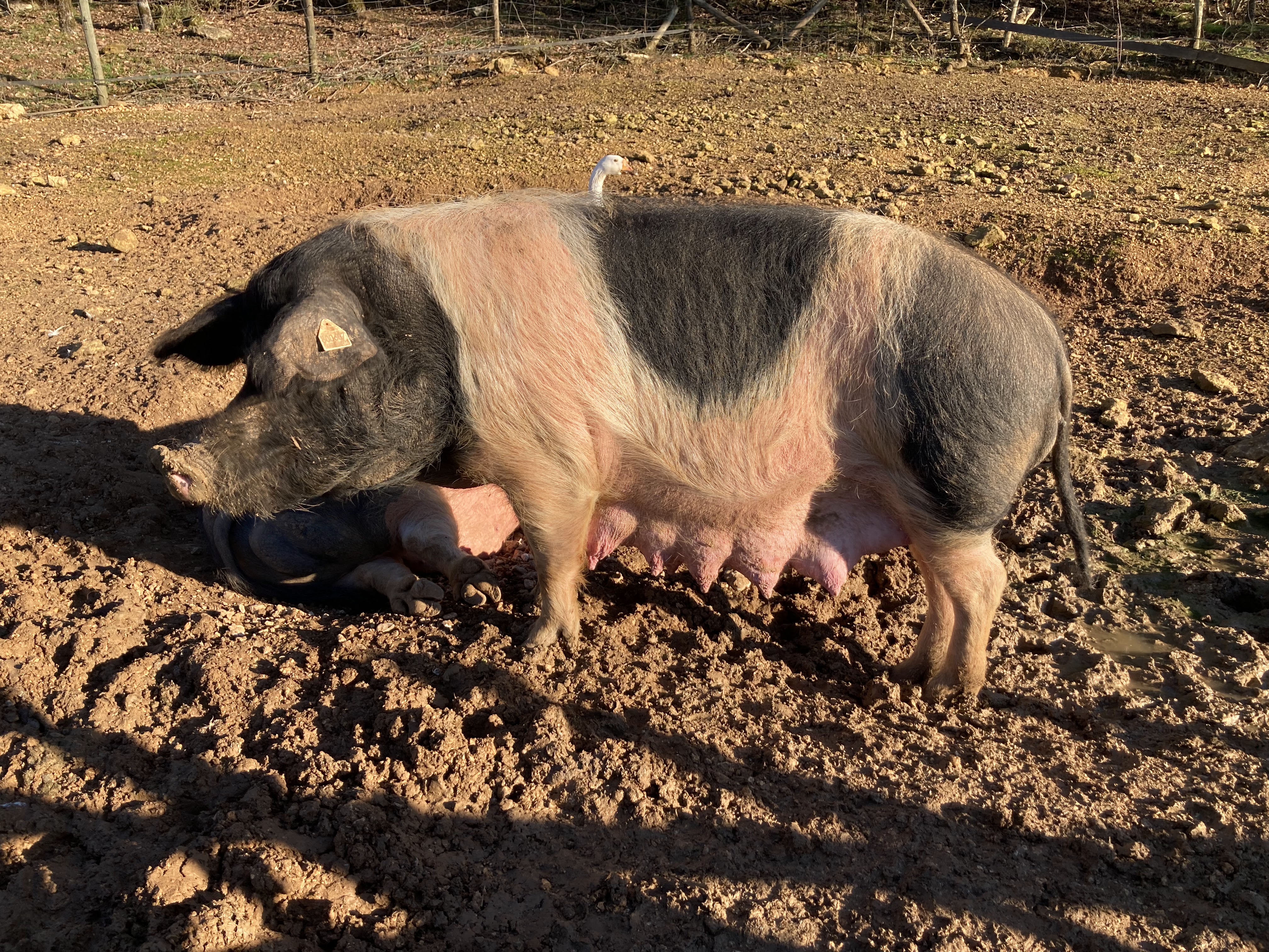 Photo n° 5 de l'avis de Claire.O fait le 18/12/2021 à 17:50