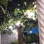 Photo n°10 de l'avis de Deniz. fait le 25/08/2023 à 14:15 sur le  Numero Zero à Perugia