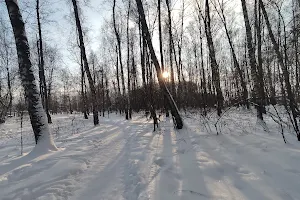 Park Berezovaya Roshcha image