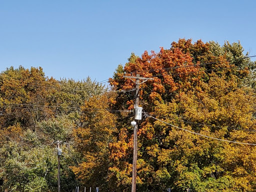 Loan Agency «Community Quick Cash Advance and Payday Loan», reviews and photos, 1671 S Old Hwy 141, Fenton, MO 63026, USA