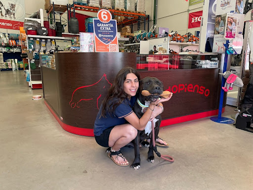 TODOPIENSO - Villamanta