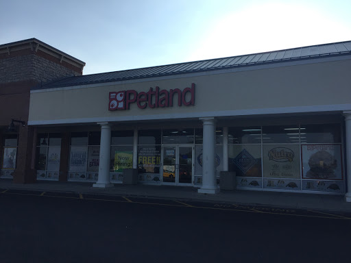 Pet Store «Petland Lewis Center», reviews and photos, 86 Meadow Park Ave, Lewis Center, OH 43035, USA